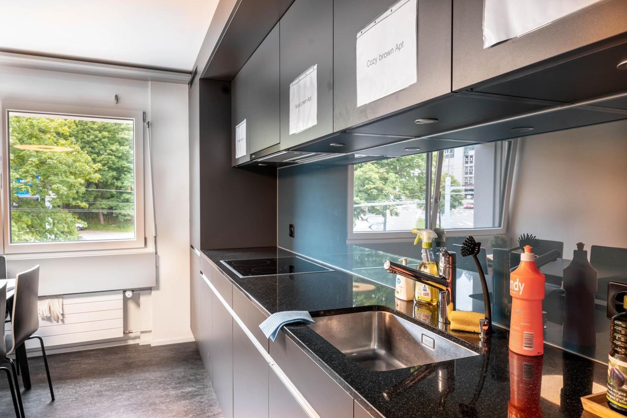 Inn Joy Apartments - Sankt Gallen Center Kültér fotó